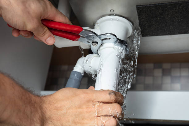 Best 24-hour water damage restoration  in Trinity, AL