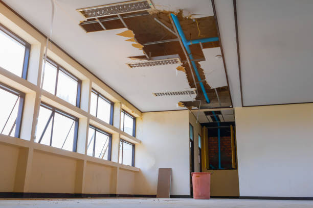 Professional Water damage restoration in Trinity, AL