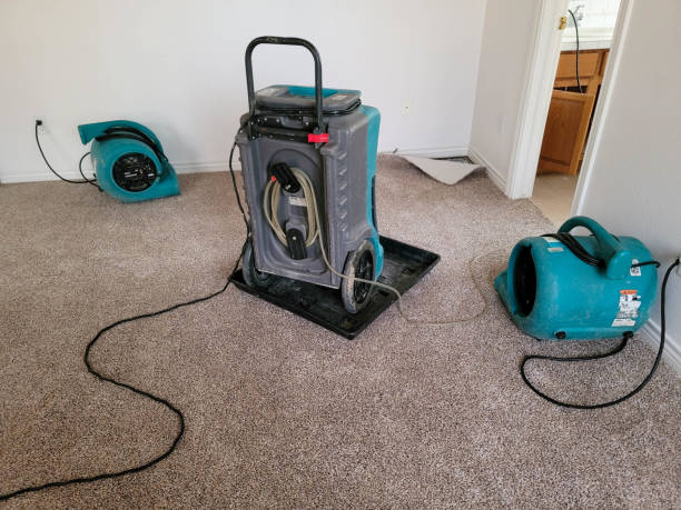 Best Residential water damage restoration  in Trinity, AL