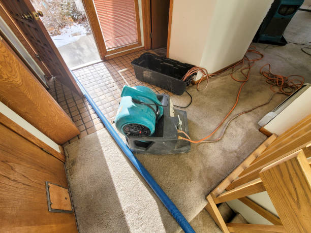 Best Flooded house restoration  in Trinity, AL