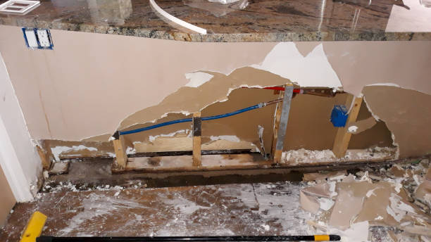 Best Local water damage restoration  in Trinity, AL