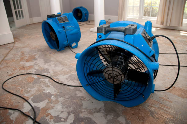 24/7 water damage repair in Trinity, AL