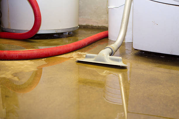 Sewage cleanup and water damage restoration in Trinity, AL