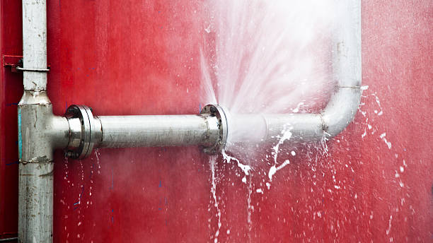 Best Commercial water damage restoration  in Trinity, AL