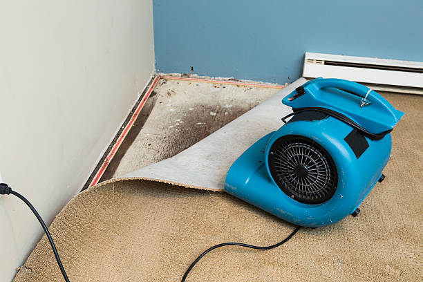 Best Residential water damage restoration  in Trinity, AL