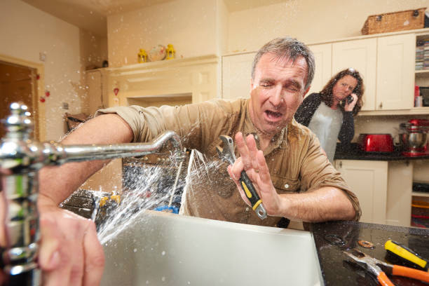 Best Flood restoration services  in Trinity, AL
